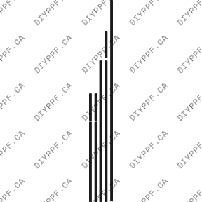 Edge Guards 2002-2005 Audi A4 1.8T/3.0 Avant 05-02 4D SW PPF