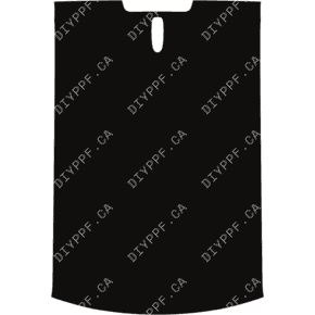 Roof, Full 2025-2025 Ram 1500 Laramie 25-25 Crew P/U PPF — DIY PPF