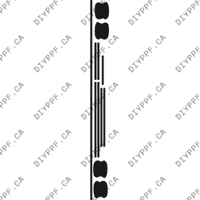 Appearance A Plus 2003-2003 BMW X5 03-03 4D SUV PPF