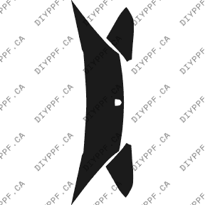 Hood/Fenders 2002-2004 Dodge Intrepid 04-02 4D Sdn PPF