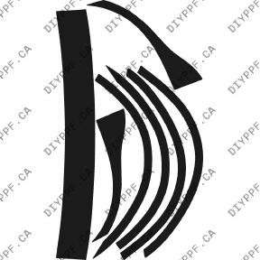 Appearance B Plus 2002-2002 Dodge Neon 02-02 4D Sdn PPF