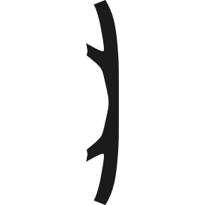 Bumper, Top 2003-2004 Mazda MPV 04-03 MV PPF