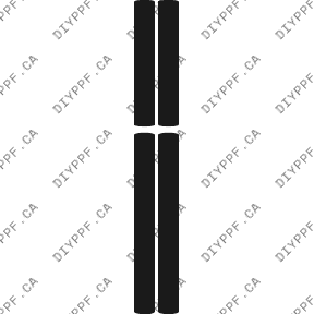 Kick Plates 2003-2005 Dodge Neon 05-03 4D Sdn PPF