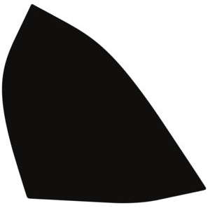 Mirror, Left 2022-2024 Tesla Model X 24-22 4D SUV PPF