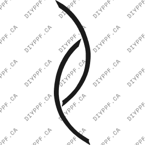 Wheel Lip Front, L&R 2003-2005 Acura TSX 05-03 4D Sdn PPF