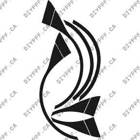 Wheels Lips/Splash 2002-2003 BMW 5 Series w/Lic Plate 03-02 4D Sdn PPF