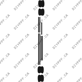 Appearance A 2003-2003 BMW X5 IS 03-03 4D SUV PPF