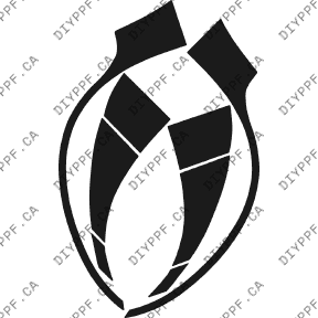 Wheels Lips/Splash 2004-2005 Chevrolet Malibu Classic 05-04 4D Sdn PPF