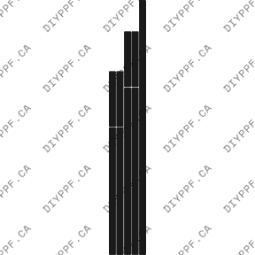 Edge Guards 2003-2006 Mercedes-Benz S Class 06-03 4D Sdn PPF