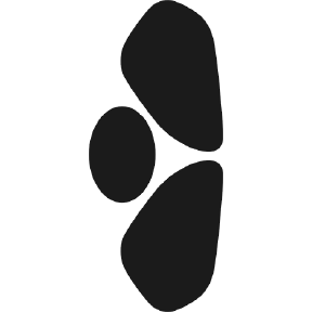 Bumper, Accessory Covers 2005-2007 Mercedes-Benz C 55 AMG 07-05 4D Sdn PPF