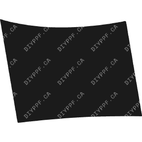 Wheel, Front Splash Right 2006-2010 Dodge Charger SRT 10-06 4D Sdn PPF