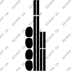 Appearance A 2008-2012 Jeep Liberty 12-08 4D SUV PPF
