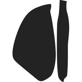 Mirror, Right 2007-2012 Maserati GranTurismo 12-07 2D Cpe PPF