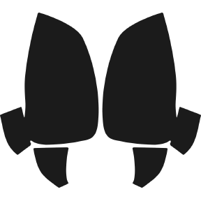 Mirrors 2009-2012 Mitsubishi Eclipse 12-09 2D Cpe PPF