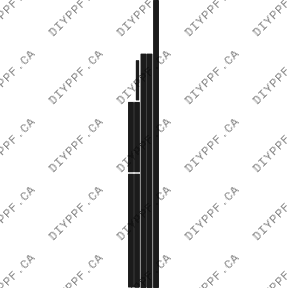 Edge Guards 2009-2010 Mercedes-Benz GL 10-09 4D SUV PPF