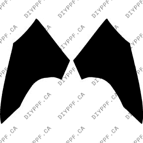 Fenders L & R 2010-2010 BMW 5 Series 10-10 4D SW PPF