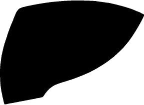 Mirror, Left 2016-2018 KIA Sorento 18-16 4D SUV PPF