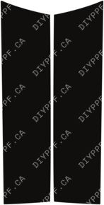 Door Panels Rear, L&R 2019-2023 BMW X5 23-19 4D SUV PPF