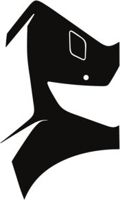 Bumper, Right Sensors 2019-2025 Lexus UX F Sport 25-19 4D SUV PPF